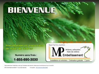 Pose et entretien de haie de cèdres