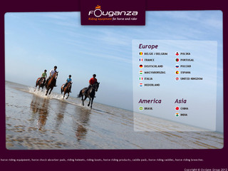 Détails : Fouganza : Equipements d'équitation pour le cavalier et son cheval